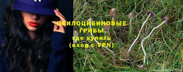 гидра Абинск