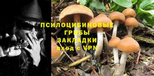 гидра Абинск